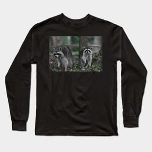Pair of Raccoons Long Sleeve T-Shirt